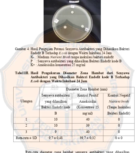 Gambar 4. Hasil Pengujian Potensi Senyawa Antibakteri yang Dihasilkan Bakteri 
