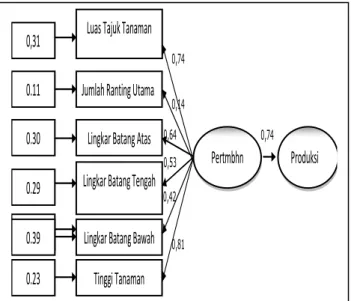 Gambar 5. Koefisien Jalur Komponen Pertumbuhan  Terhadap  Produksi  Kakao  di  Lokasi  Penelitian 