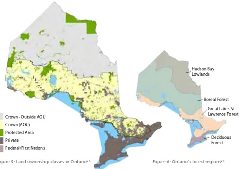 Figure 6: Ontario’s forest regions64.