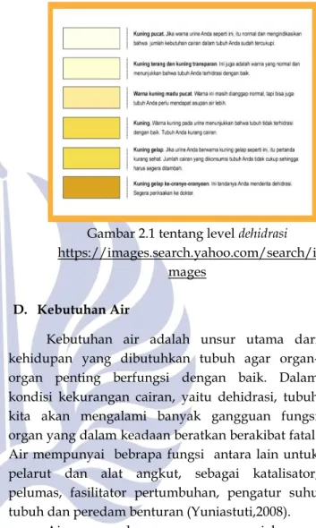 Gambar 2.1 tentang level dehidrasi  https://images.search.yahoo.com/search/i