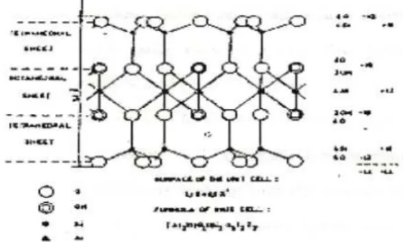 Gambar 1. Struktur zeolit jenis monmorlionit 