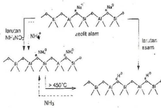 Gambar 2. Model sederhana mekanisme adsorpsi amoniak            dalam air oleh adsorben zeolit alam 