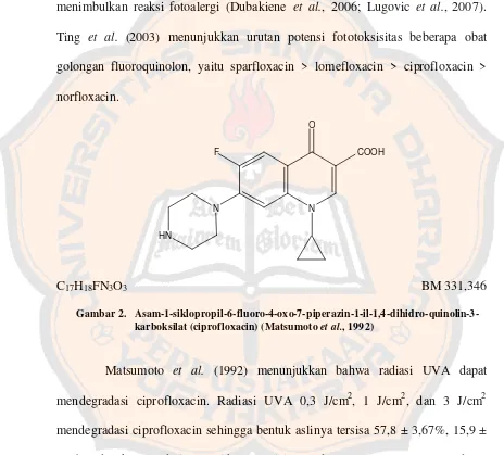 Gambar 2. Asam-1-siklopropil-6-fluoro-4-oxo-7-piperazin-1-il-1,4-dihidro-quinolin-3-