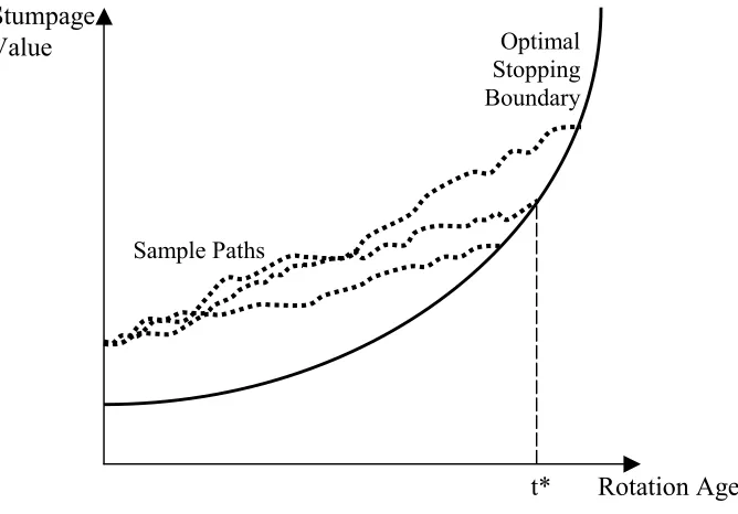 Figure 3.  Optimal Stopping Boundary and Sample Stumpage Value Paths  