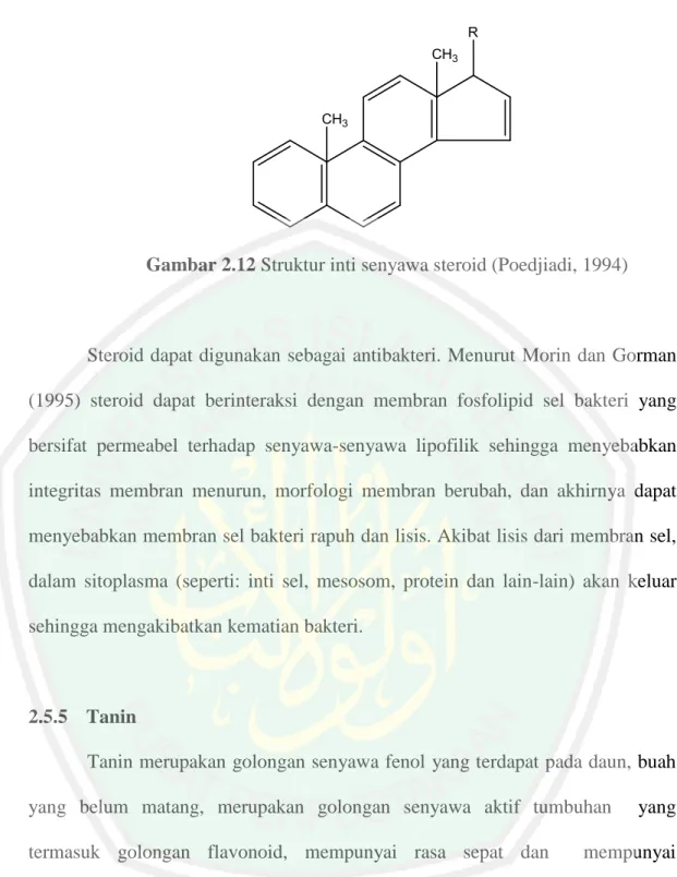 Gambar 2.12 Struktur inti senyawa steroid (Poedjiadi, 1994) 
