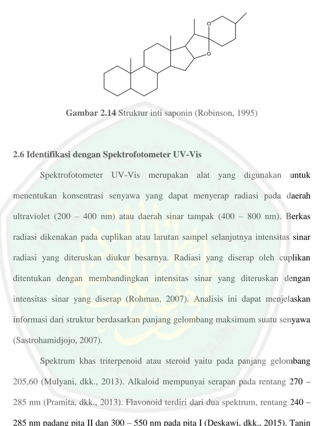Gambar 2.14 Struktur inti saponin (Robinson, 1995) 