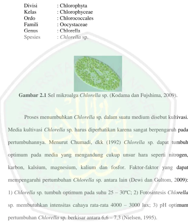 Gambar 2.1 Sel mikroalga Chlorella sp. (Kodama dan Fujshima, 2009). 