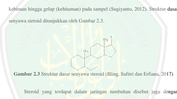 Gambar 2.3 Struktur dasar senyawa steroid (Illing, Safitri dan Erfiana, 2017) 