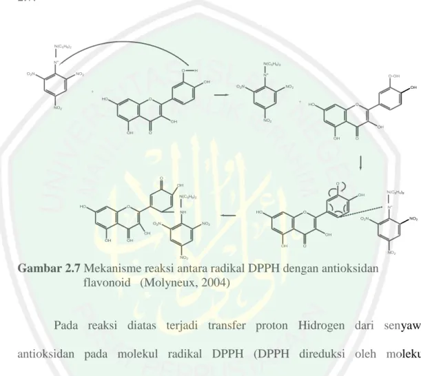 Gambar 2.7 Mekanisme reaksi antara radikal DPPH dengan antioksidan  flavonoid   (Molyneux, 2004) 