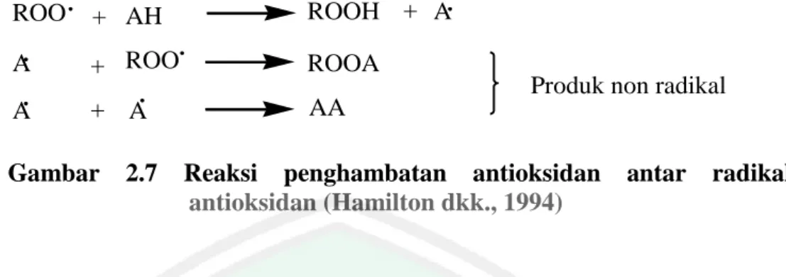 Gambar  2.7  Reaksi  penghambatan  antioksidan  antar  radikal  antioksidan (Hamilton dkk., 1994) 