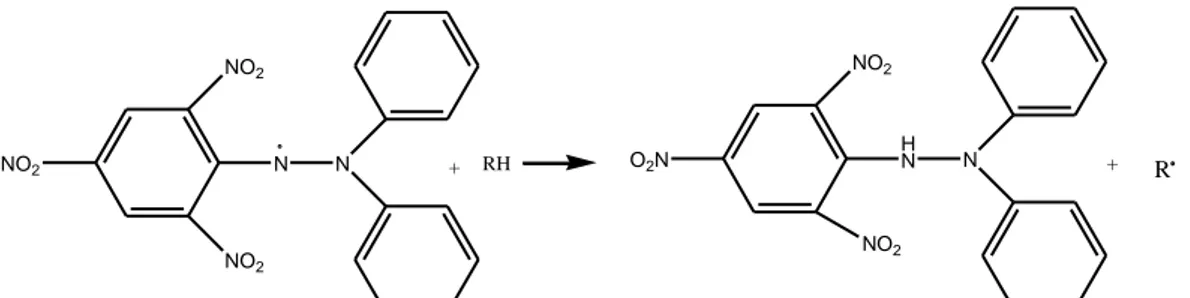Gambar 2.10 Reaksi antara antioksidan dengan molekul DPPH (Prakash,  2001) 
