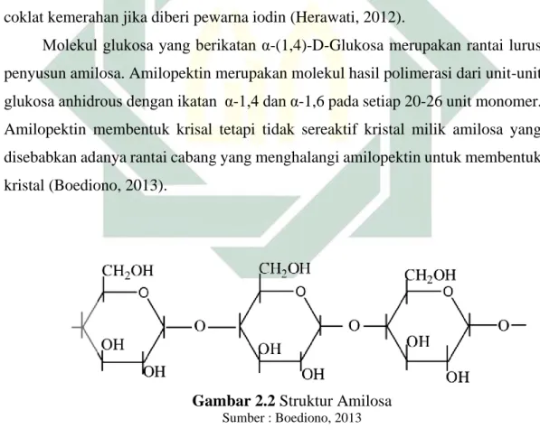 Gambar 2.2 Struktur Amilosa 