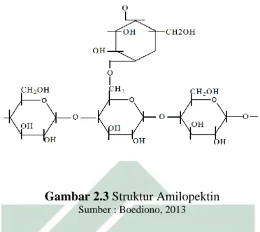 Gambar 2.3 Struktur Amilopektin 
