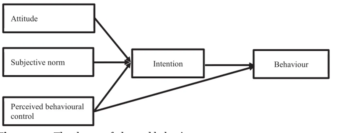 Figure 3.  The theory of planned behaviour  