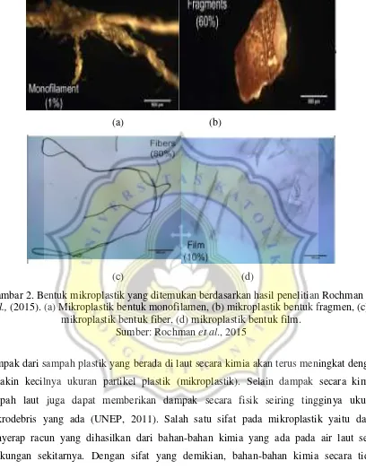 Gambar 2. Bentuk mikroplastik yang ditemukan berdasarkan hasil penelitian Rochman et 