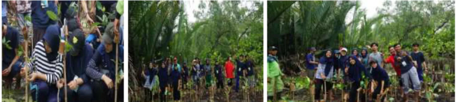 Gambar 3. Kegiatan Penanaman Oleh Kelompok Mahasiswa Peduli Mangrove