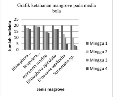 Grafik 1. Ketahanan mangrove pada media bola (lumpur mangrove dan lumut lokal) 
