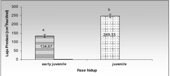 Gambar 5. Laju predasi A. planci pada  fase hidup aarly juvenile dan juvenile  ( huruf yang  berbeda menunjukkan perbedaan yang signifikan pada  α = 0,05 ) 