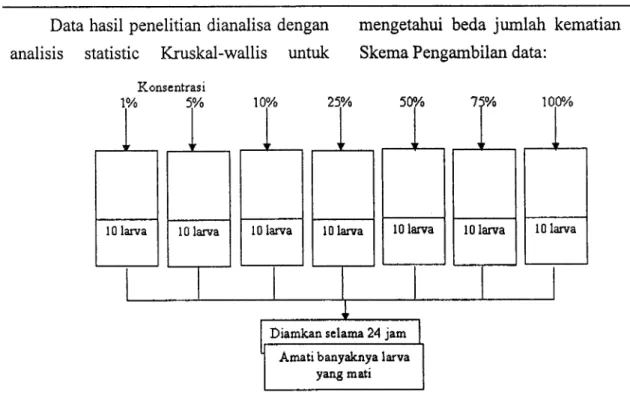 Tabel  2  .  Efektivitas  larutan  bawang  putih berdasarkan  variasi  konsentrasi Konsenfiasi  Larva  Larva  Persentase(%)