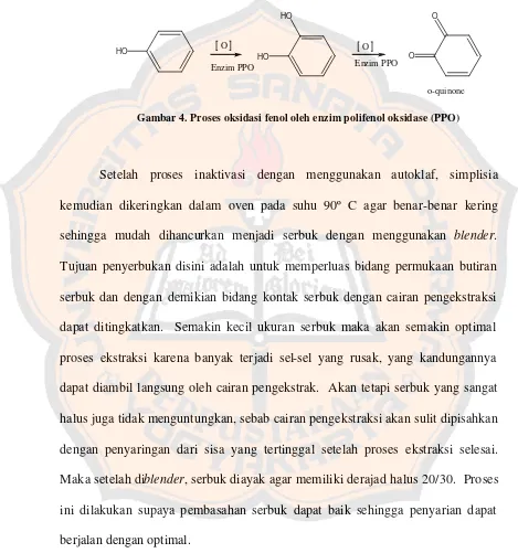 Gambar 4. Proses oksidasi fenol oleh enzim polifenol oksidase (PPO)  