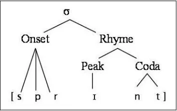 Figure 2.1 The basic structure of a syllable 