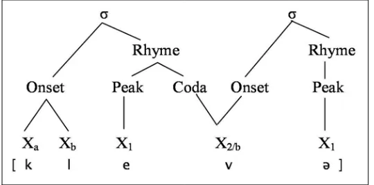 Figure 2.7 Coda Capture: Ambisyllabic Consonant 