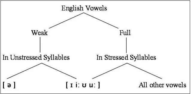 Figure 2.8 The Classification English vowel  