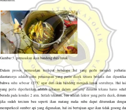 Gambar 5. pemasakan ikan bandeng duri lunak 