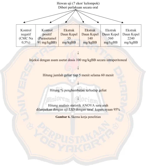 Gambar 6. Skema kerja penelitian 