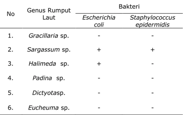 Aktivitas Antibakteri Ekstrak Rumput Laut Sargassum Cinereum (J.g ...