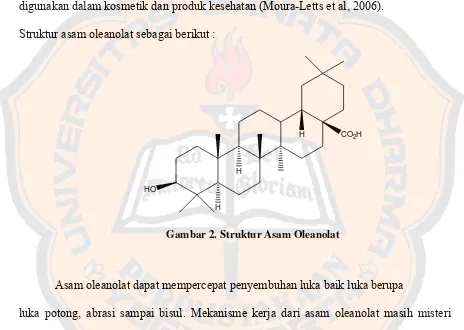 Gambar 2. Struktur Asam Oleanolat 