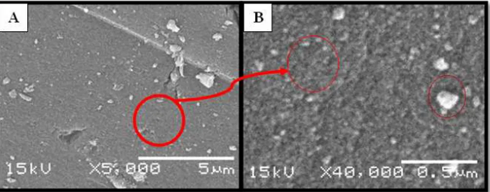 Gambar 3. Morfologi permukaan kristal TiO 2 -SiO 2  pada suhu 500°C konsentrasi silika 15% perbesa- perbesa-ran 5000 kali (A) dan perbesaperbesa-ran 40000 kali (B)