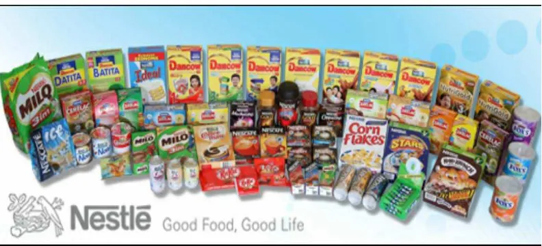 Gambar 4.1 Jenis-jenis Produk PT Nestlé Indonesia 
