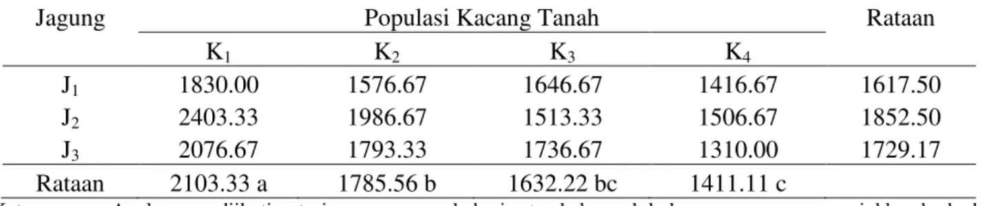 Tabel 2. Rataan produksi kacang tanah per plot (g) pada populasi kacang tanah dan populasi jagung  yang berbeda