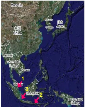 Gambar 2. Titik-titik rawan yang akan dilewati oleh Tanker Jepang dalam pengiriman minyak mentah dari Timur Tengah ke  negara-negara pengimpor minyak yang ada diperairan Indonesia