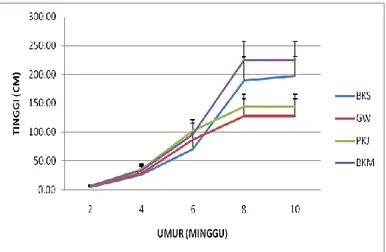 Gambar  2.  Kurva  pertumbuhan  tinggi  4  kultivar  Jagung  pulut.  (BKS  =  Batarakoasa,  GW  =  Gowa,  PKJ  =  Pangkajene, BKM = Batarakamu)