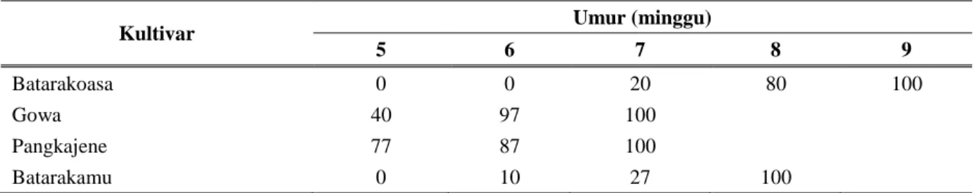 Tabel 5. Persentase Populasi (%) Jagung Pulut yang Berbunga 