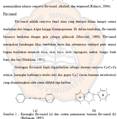 Gambar 1 . Kerangka flavonoid (a) dan sistem penomoran turunan flavonoid (b) 