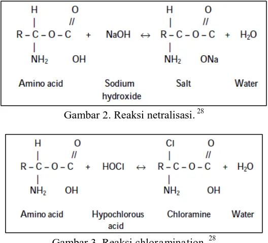 Gambar 3. Reaksi chloramination. 28