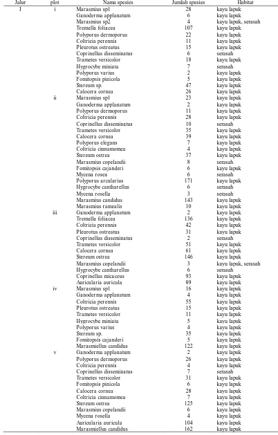 Tabel Keanekaragaman Spesies Jamur Makroskopis yang Ditemukan Berdasarkan Jalur Pengamatan pada Ketinggian Tempat < 1000 m dpl  