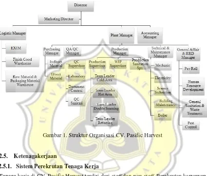 Gambar 1. Struktur Organisasi CV. Pasific Harvest 