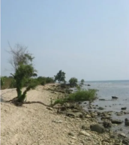 Gambar 2. Morfologi Pantai Pulau Panjang. 