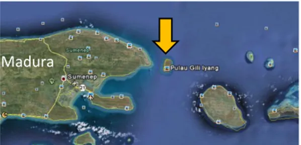 Gambar 1.  Lokasi Pulau Giliiyang 