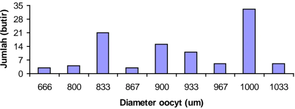 Gambar 3. Hubungan jumlah oosit (100 butir) dan diameternya pada gonad tuna sirip  kuning  (tingkat kematangan gonad  V)