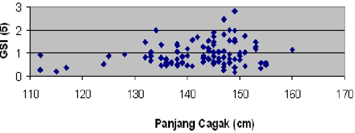 Gambar 5. Hubungan antara panjang (cm) dan GSI (%) ikan tuna sirip kuning (n=128). 