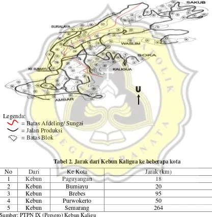 Tabel 2. Jarak dari Kebun Kaligua ke beberapa kota 