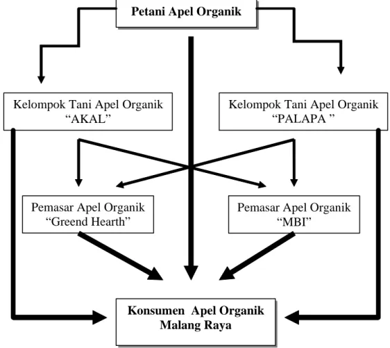 Gambar  6. Saluran Pemasaran Apel Organik di Malang Raya