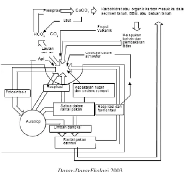 Gambar 3.7. Daur nitrogen 