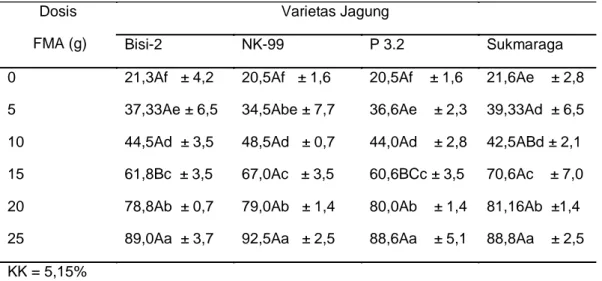 Tabel  1..  Persentase  Akar  Terinfeksi  Fungi  Mikoriza  Arbuskula  (FMA)  pada  Saat  Pertumbuhan Vegetatif  Varietas Jagung 