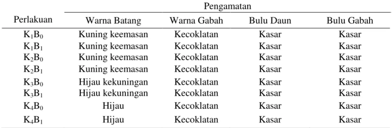 Tabel  2.  Karakter  Padi  Gogo  Lokal  Berdasarkan  (Warna  Batang,  Warna  Ruas  Batang,  Warna  Gabah,  Permukaan  Bulu  Daun  dan  Bulu  Gabah)  pada  Berbagai  Ketersediaan  Air  yang  Diberi Bahan Organik 